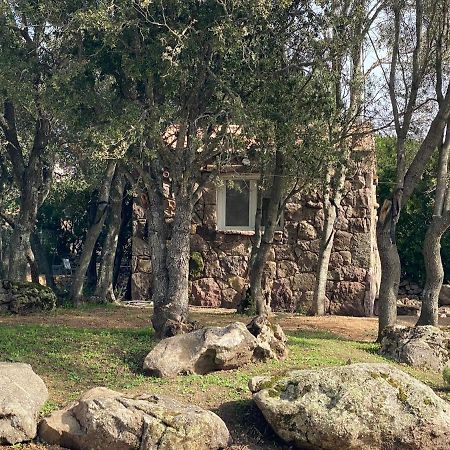 U Caseddu Sartène Exterior foto